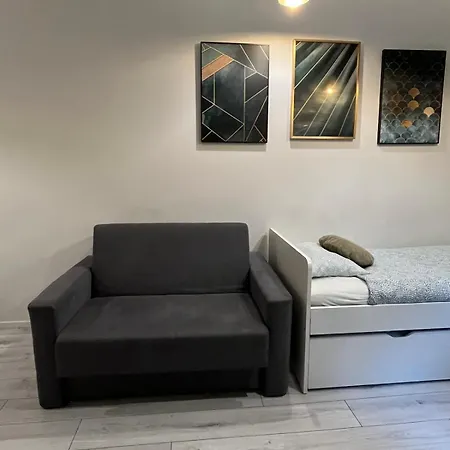 Lägenhet Zabrska Royal Ii Katowice