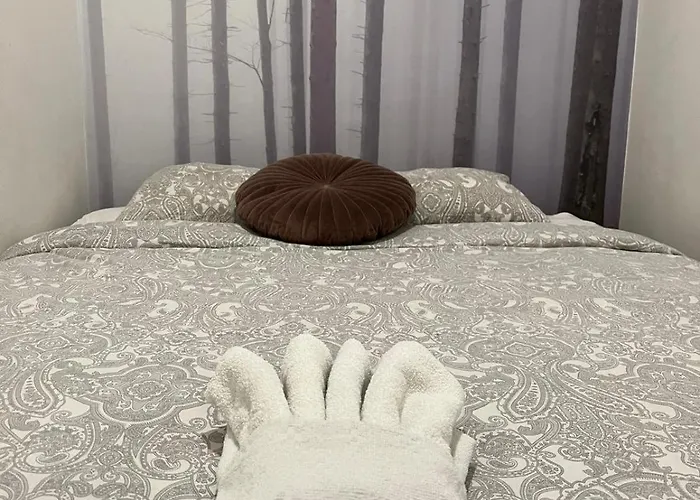 Zabrska Royal Ii Apartament Katowice